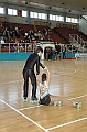 Corigliano - Fiumano' (0)